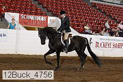 12buck_4756 proof