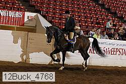 12buck_4768 proof