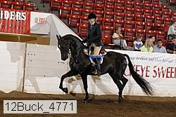 12buck_4771 proof