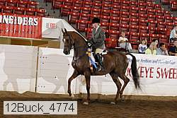 12buck_4774 proof