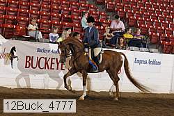 12buck_4777 proof