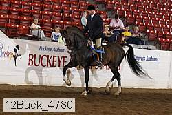 12buck_4780 proof