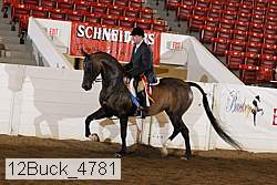 12buck_4781 proof