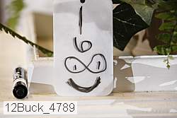 12buck_4789 proof