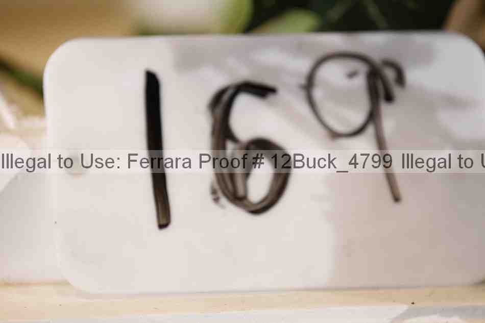 Proof 12buck_4799