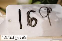 12buck_4799 proof
