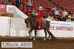 12buck_4800 proof