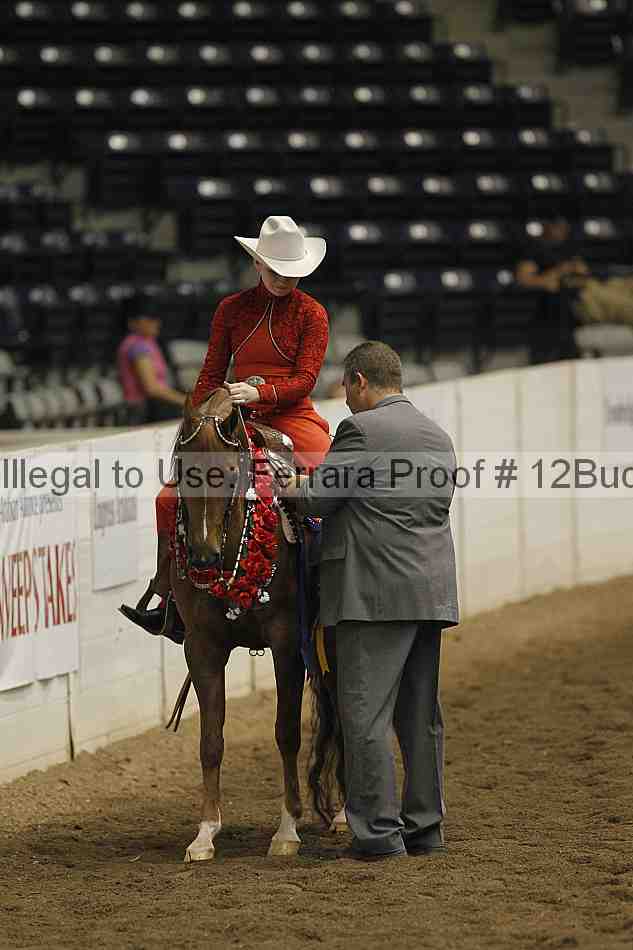 Proof 12buck_4805