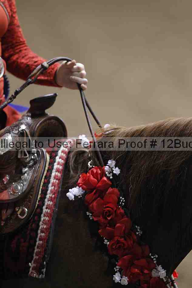 Proof 12buck_4813