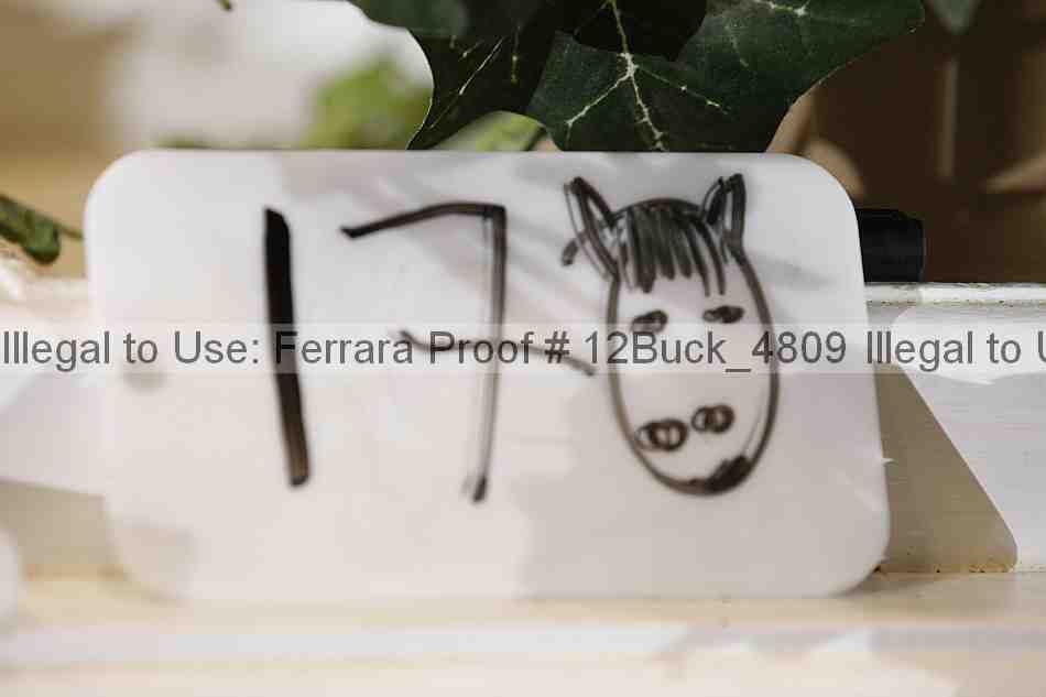 Proof 12buck_4809