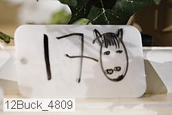 12buck_4809 proof