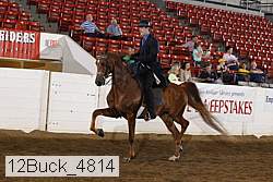 12buck_4814 proof