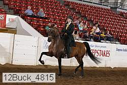 12buck_4815 proof