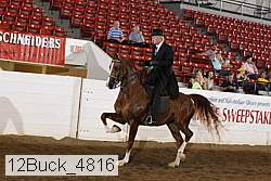 12buck_4816 proof