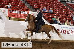 12buck_4817 proof