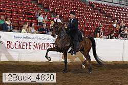 12buck_4820 proof