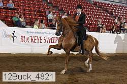 12buck_4821 proof