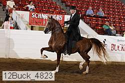 12buck_4823 proof