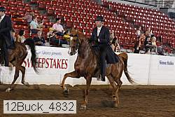12buck_4832 proof