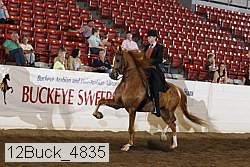 12buck_4835 proof