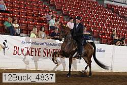12buck_4837 proof