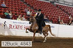 12buck_4843 proof