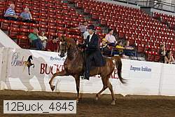 12buck_4845 proof