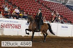 12buck_4846 proof