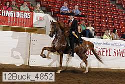 12buck_4852 proof