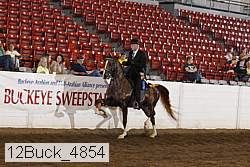 12buck_4854 proof