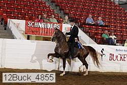 12buck_4855 proof