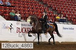 12buck_4860 proof