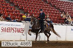12buck_4865 proof