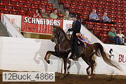 12buck_4866 proof