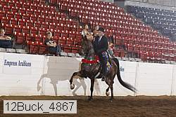 12buck_4867 proof