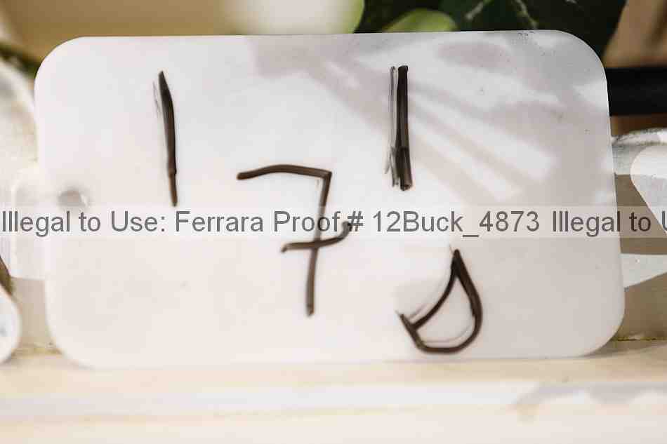 Proof 12buck_4873