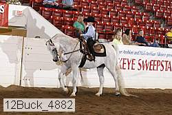 12buck_4882 proof
