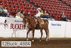 12buck_4884 proof