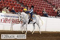 12buck_4885 proof
