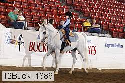 12buck_4886 proof