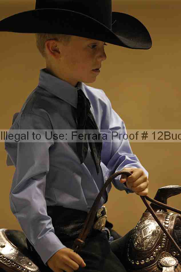 Proof 12buck_4889