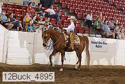 12buck_4895 proof