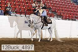 12buck_4897 proof