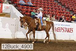 12buck_4900 proof