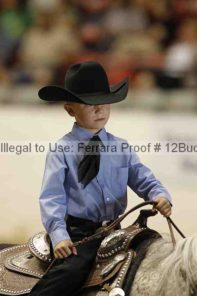 Proof 12buck_4902
