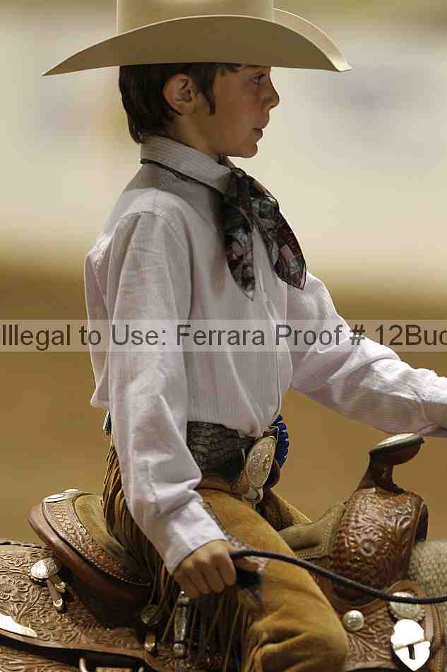 Proof 12buck_4909