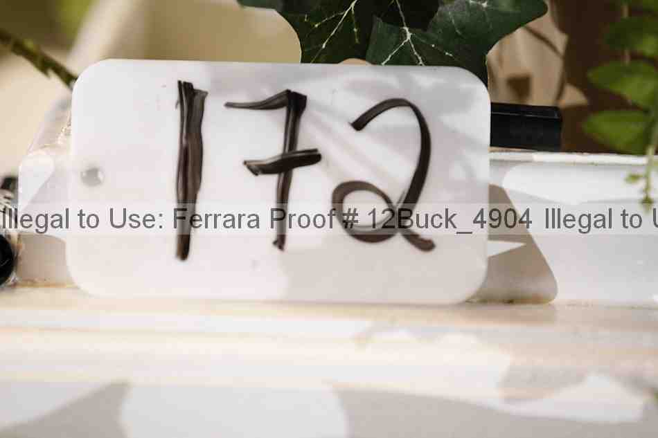 Proof 12buck_4904