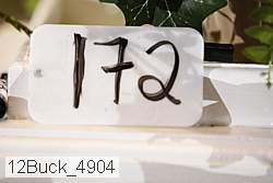 12buck_4904 proof