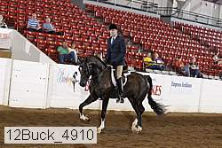 12buck_4910 proof