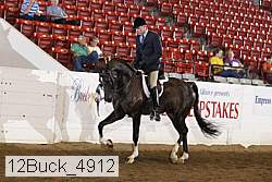 12buck_4912 proof